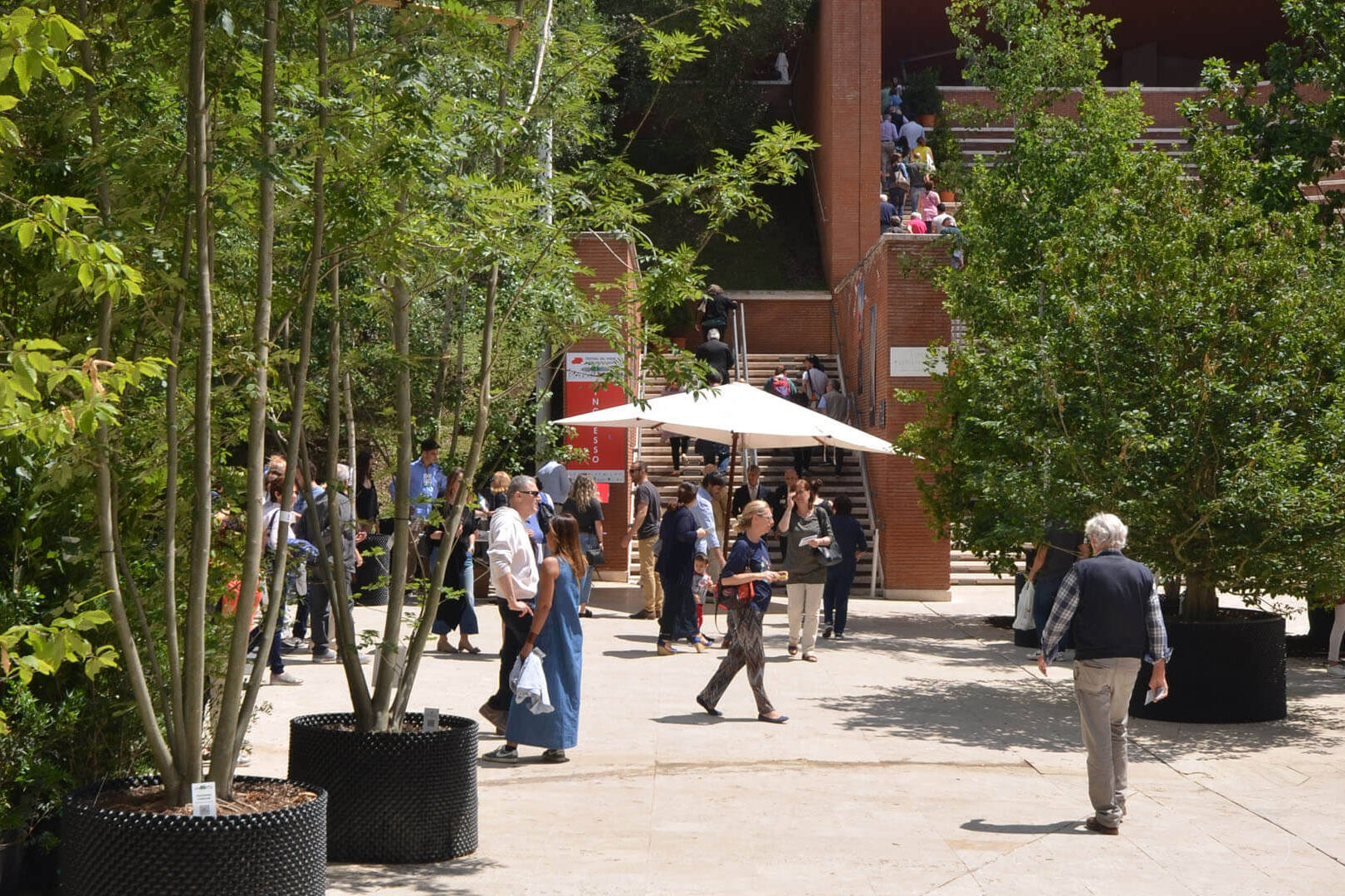 una giornata al festival: consigli utili