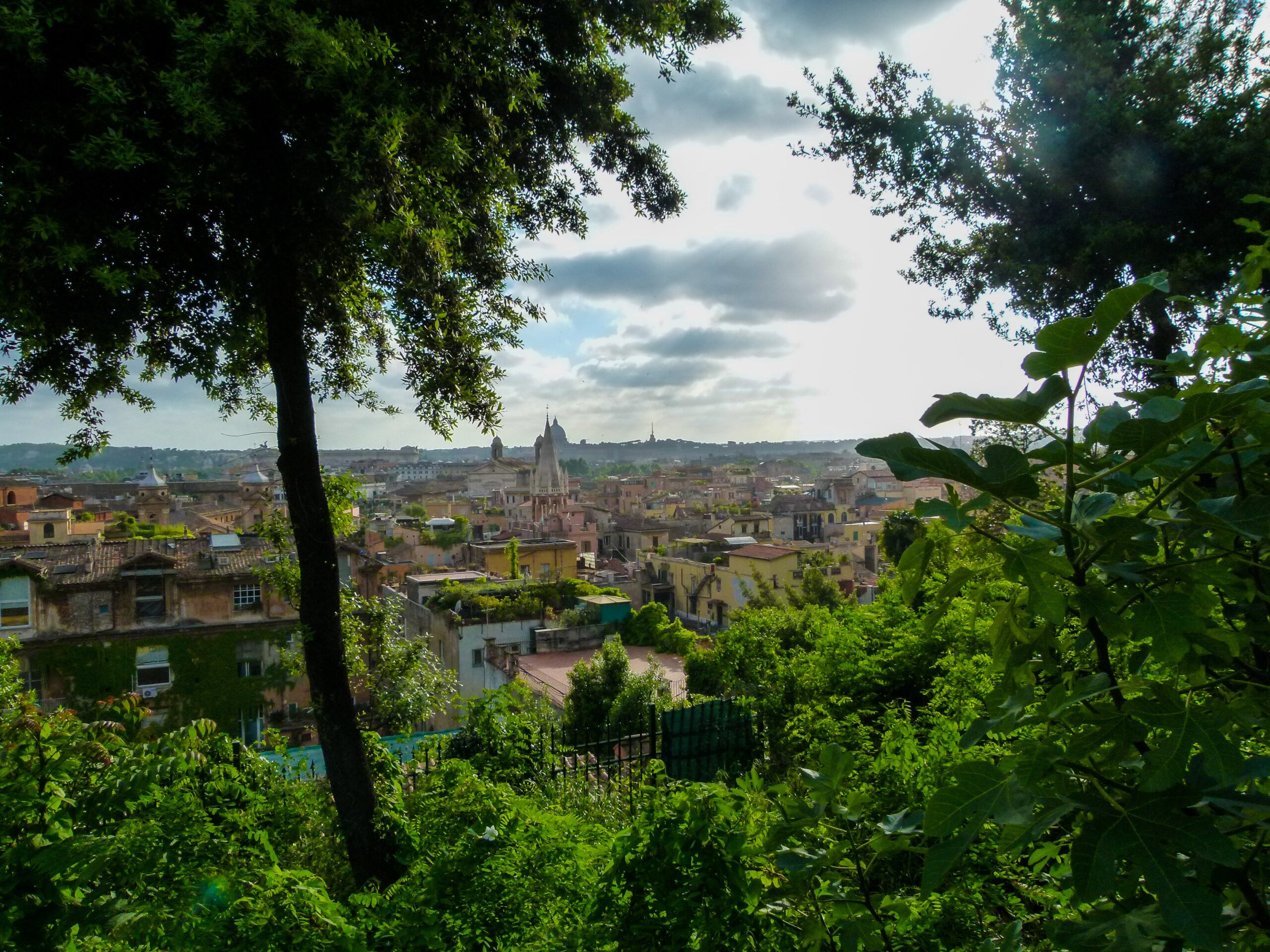 Perchè il nostro cervello ha bisogno della natura? - Festival del Verde e  del Paesaggio