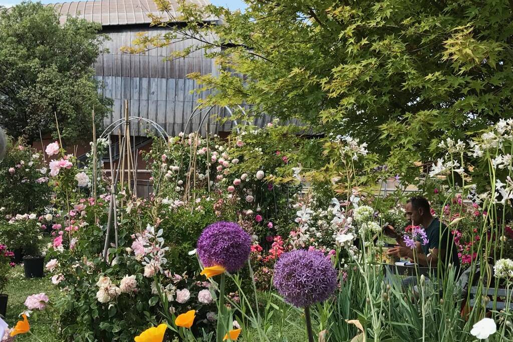 piante di Slow Plants Market