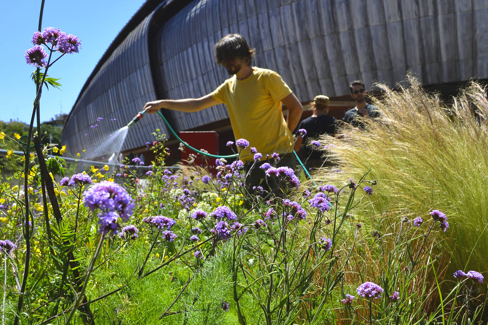 slow gardening