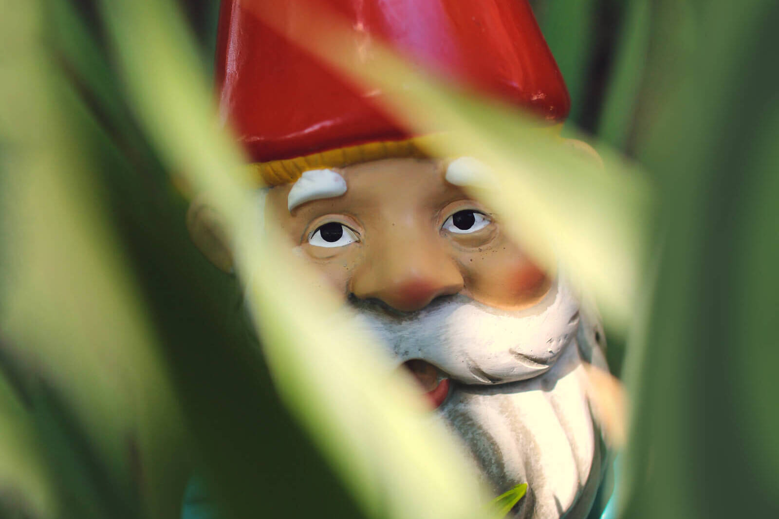 La grande caccia ai nani da giardino